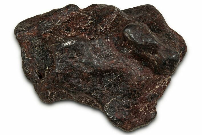 Canyon Diablo Iron Meteorite ( g) - Arizona #356034